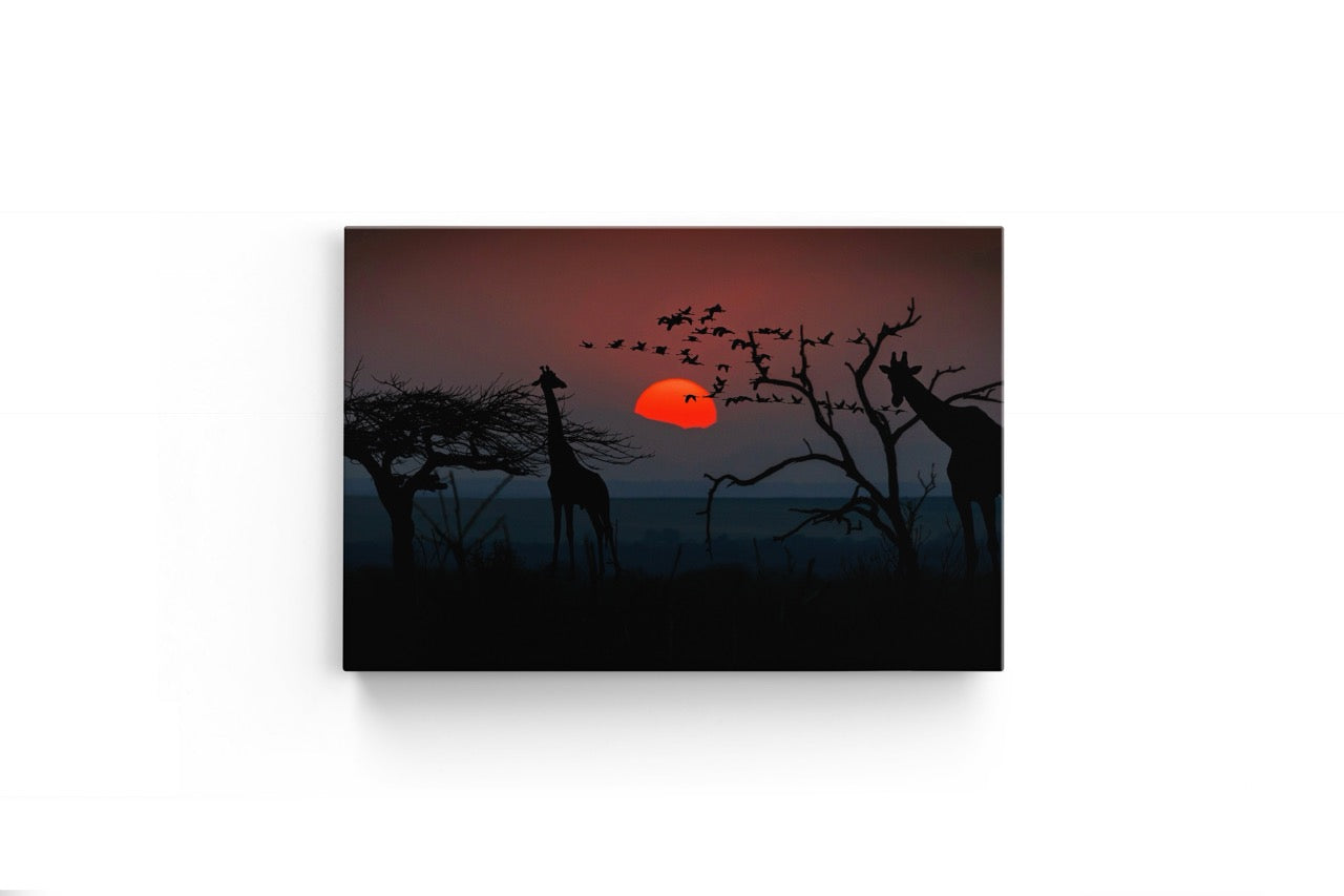 Tablou Canvas Girafe La Apus