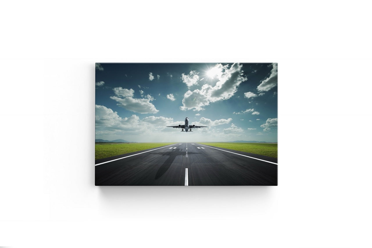 Tablou Canvas Plane II