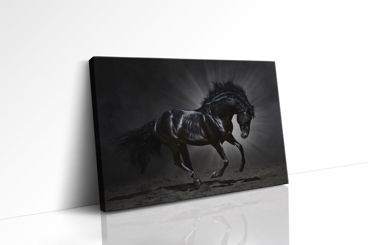 Tablou Canvas Calul Negru II