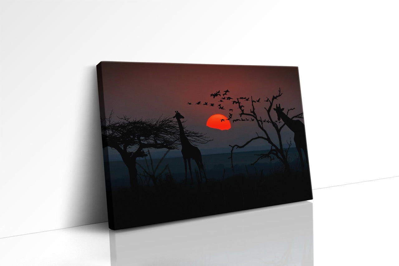 Tablou Canvas Girafe La Apus