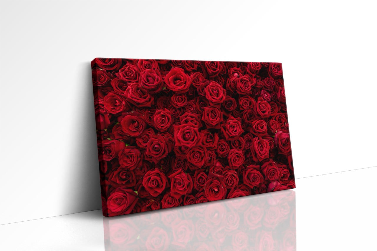 Tablou Canvas Red Flower Wall