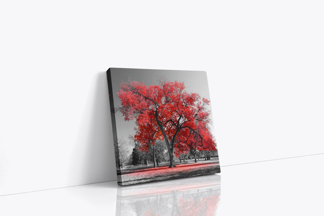 Tablou Canvas Red Tree II