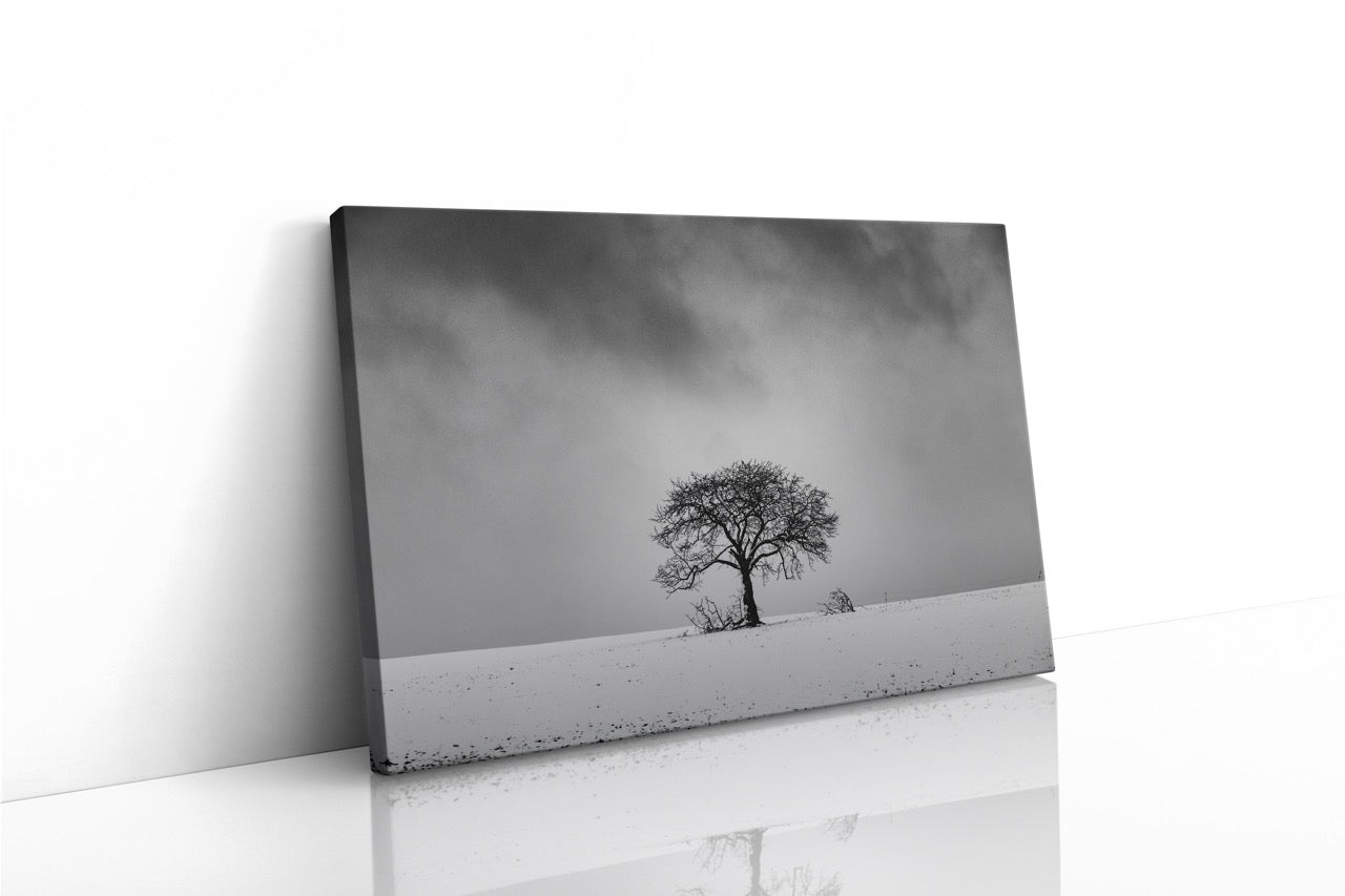 Tablou Canvas Black & White Tree