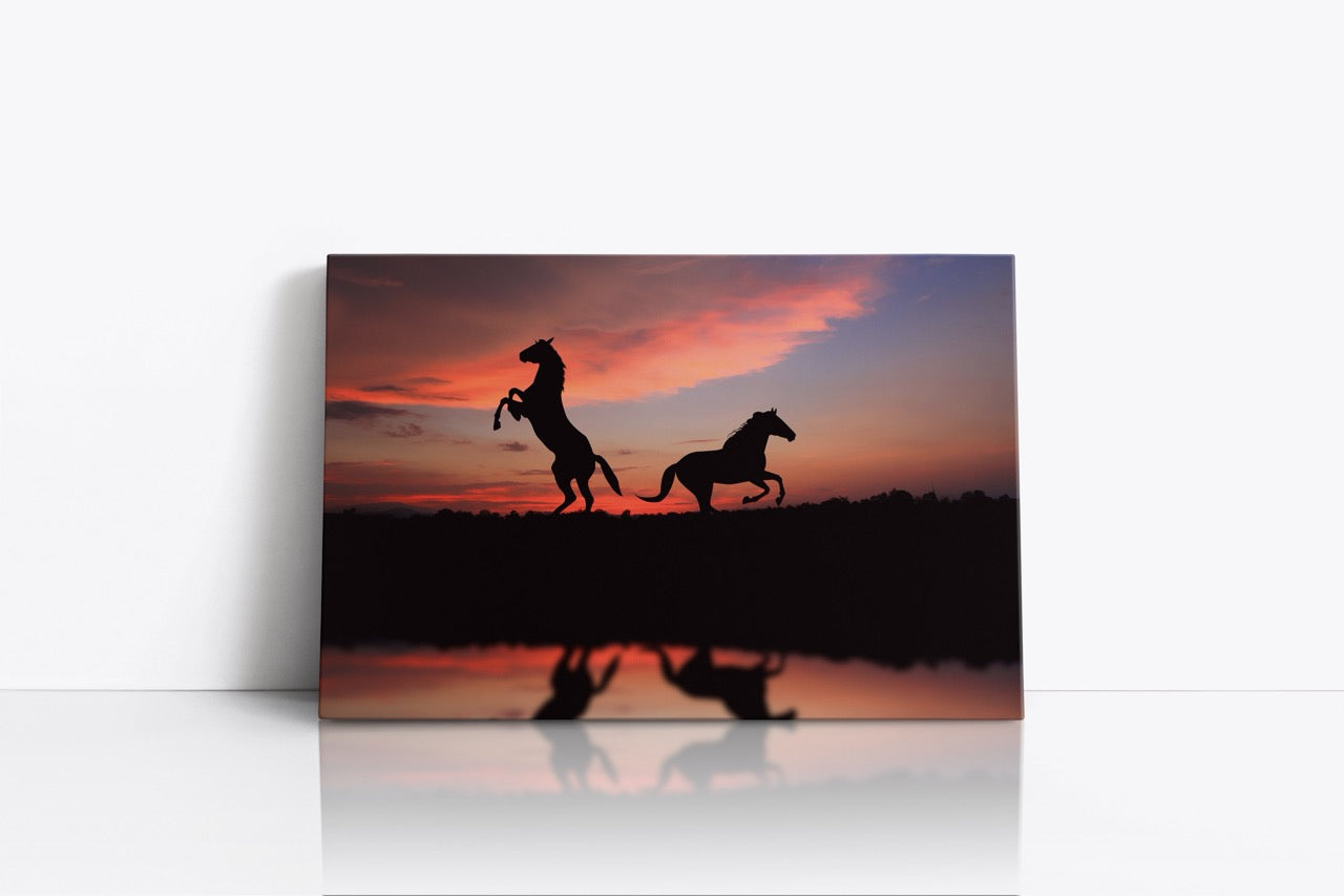 Tablou Canvas Caii Și Reflexia