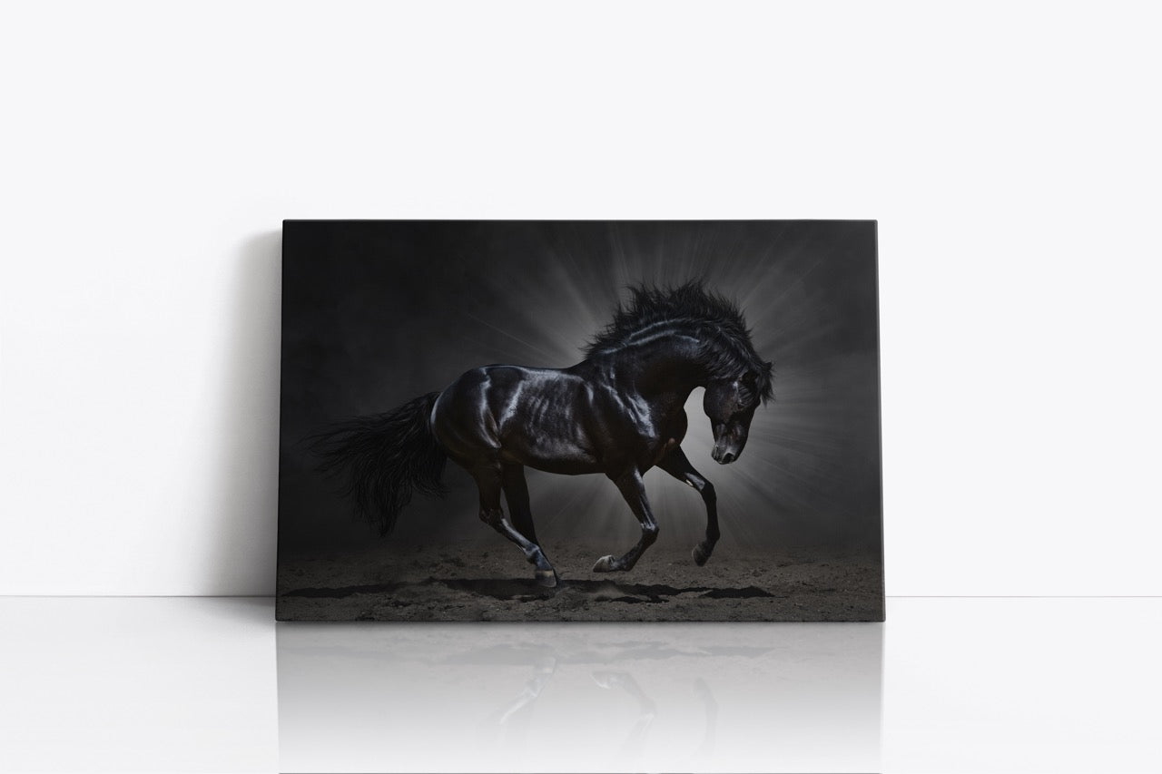Tablou Canvas Calul Negru II