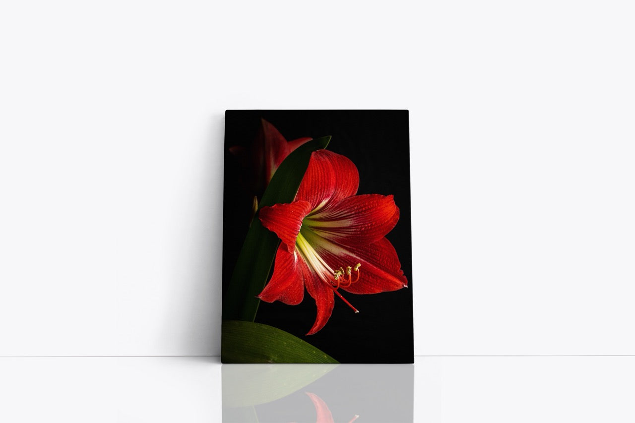Tablouri Canvas Red Imperial