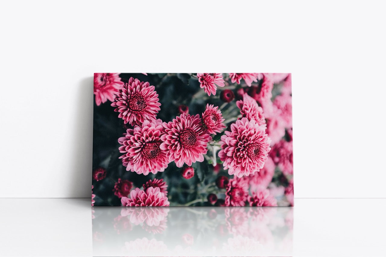 Tablou Canvas Pink Flower