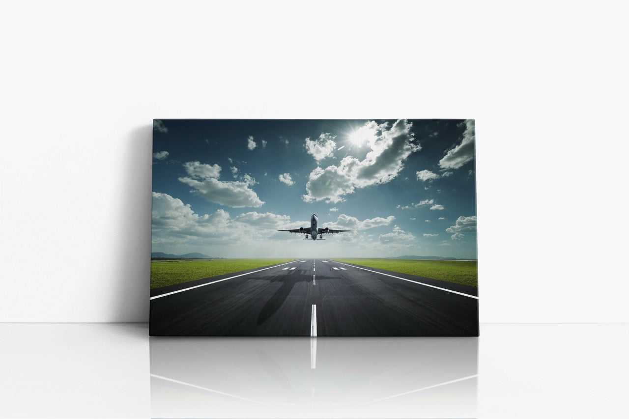 Tablou Canvas Plane II