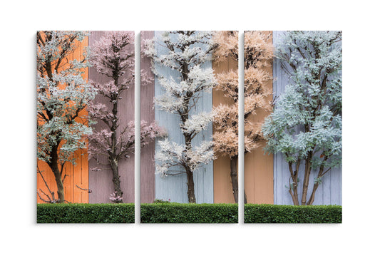 Tablou 3 Piese Copacii Colorați