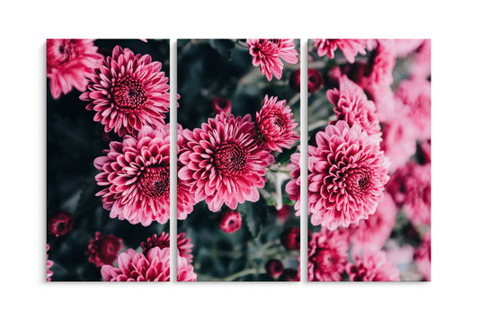 Tablou 3 Piese Pink Flower