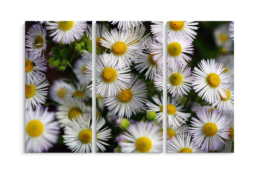 Tablou 3 Piese White Flower Wall