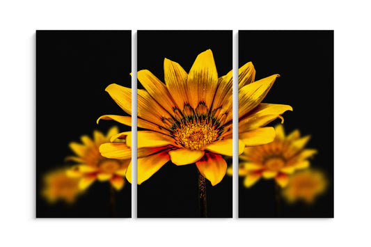 Tablou 3 Piese Yellow Flower
