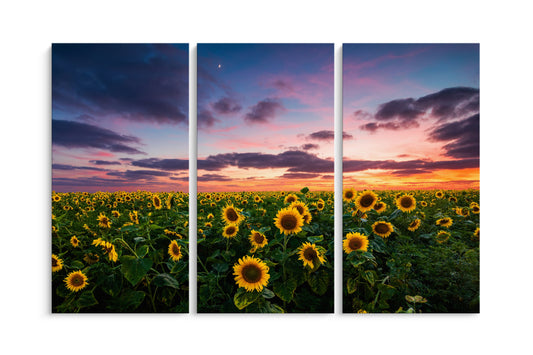 Tablou 3 Piese Sun Flower