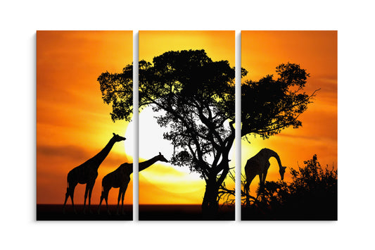 Tablou 3 Piese Girafe La Apus II