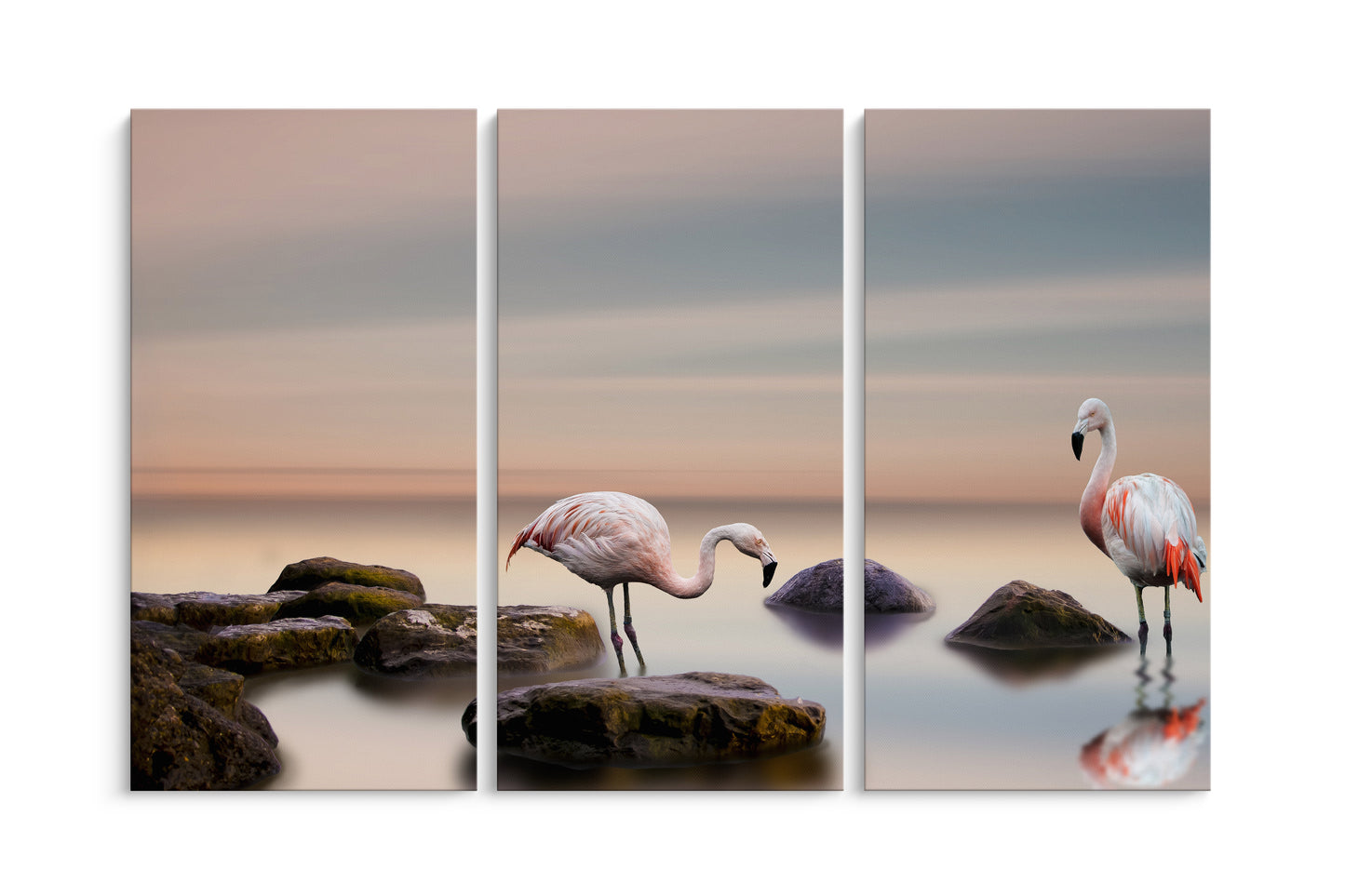 Tablou 3 Piese Cuplu De Flamingo
