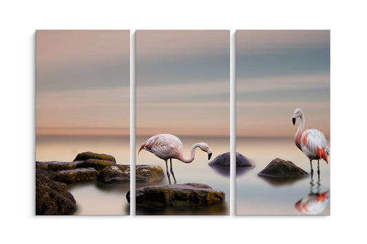 Tablou 3 Piese Cuplu De Flamingo