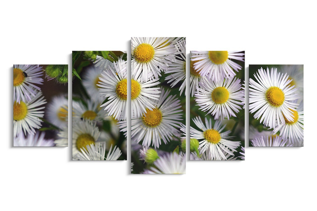 Tablou 5 Piese White Flower Wall