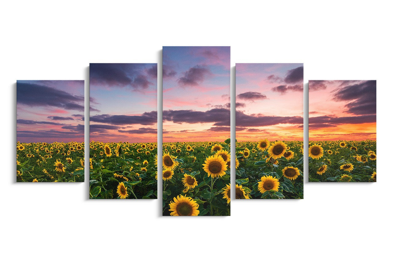 Tablou 5 Piese Sun Flower