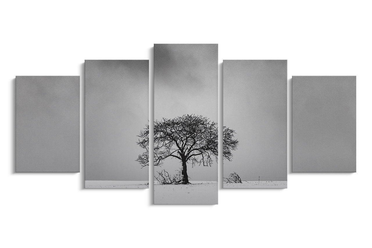 Tablou 5 Piese Black & White Tree