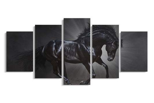 Tablou 5 Piese Calul Negru