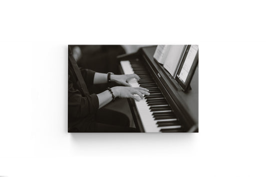 Tablou Canvas Pianista