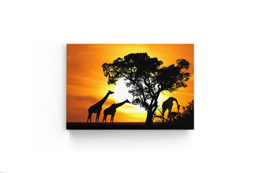 Tablou Canvas Girafe La Apus II