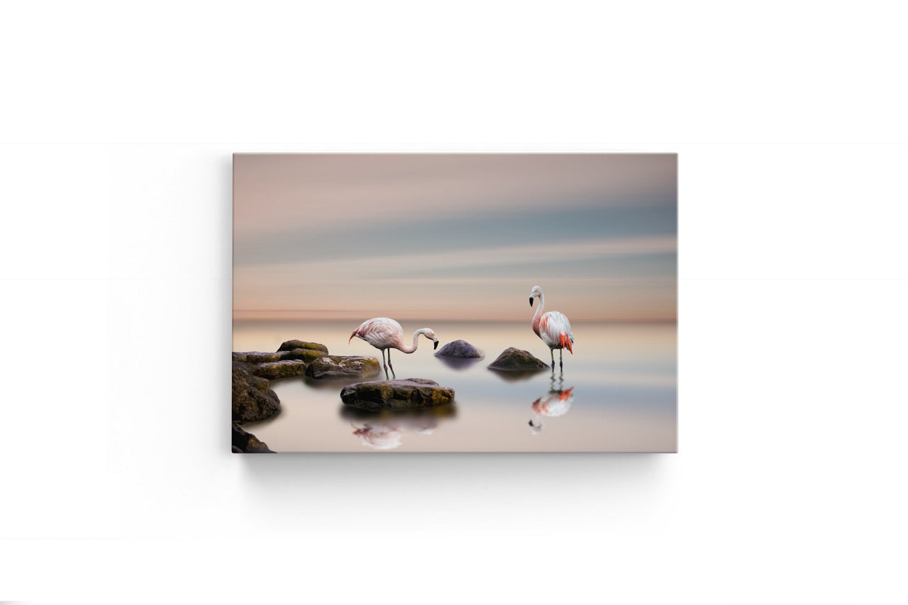 Tablou Canvas Cuplu De Flamingo