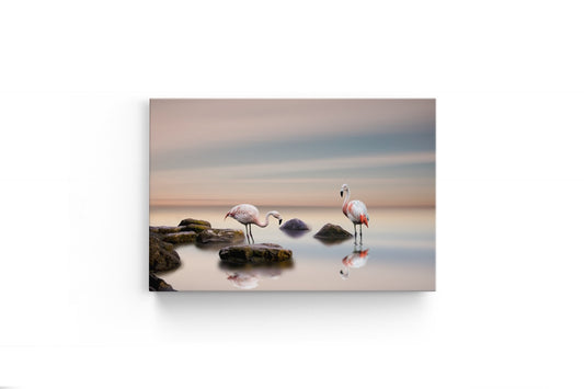 Tablou Canvas Cuplu De Flamingo