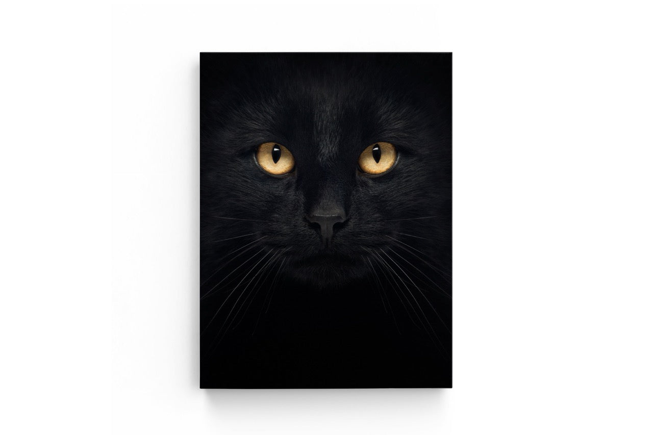 Tablou Canvas Pisica Neagră