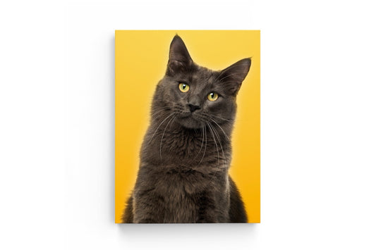 Tablou Canvas Portret Pisica Gri