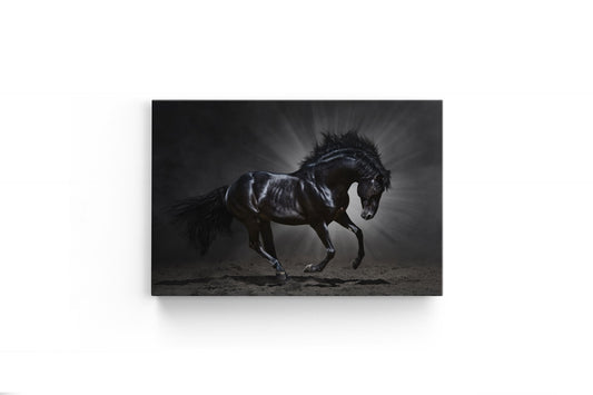 Tablou Canvas Calul Negru II