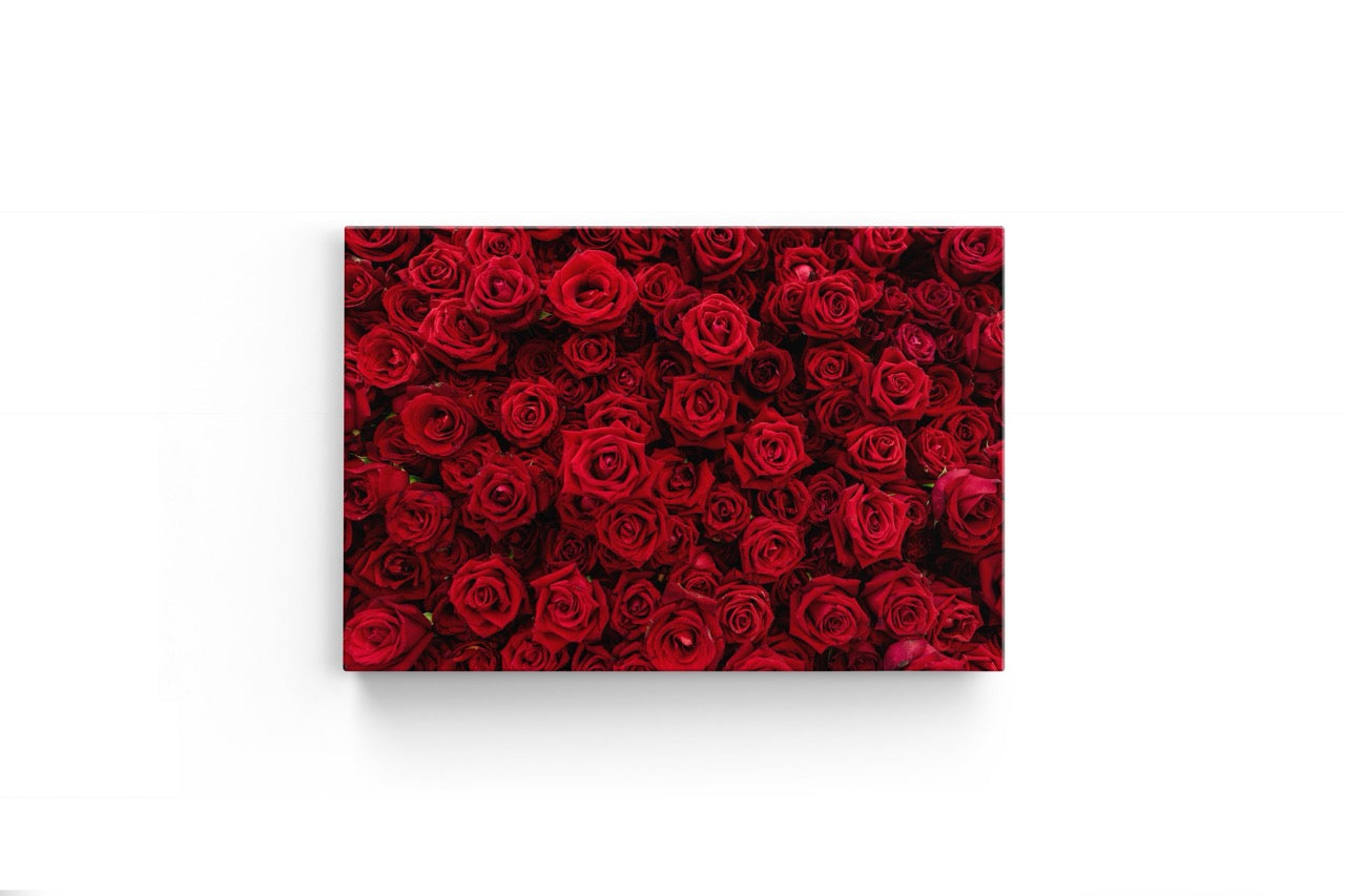 Tablou Canvas Red Flower Wall