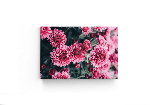Tablou Canvas Pink Flower