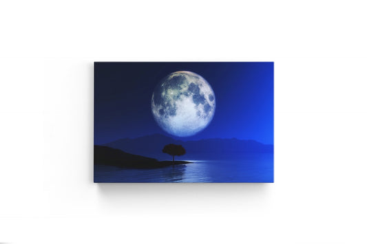 Tablou Canvas The Big Moon