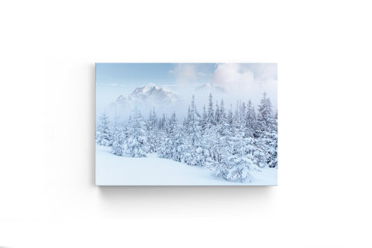 Tablou Canvas White Mountain View
