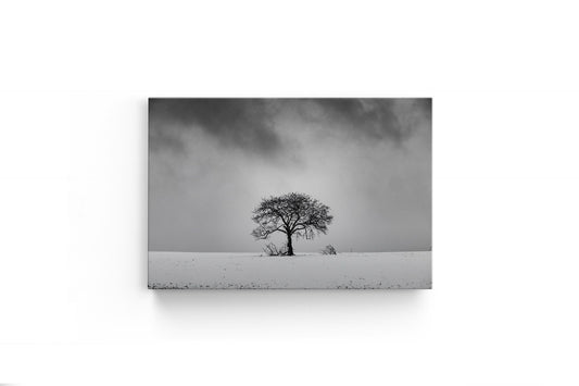 Tablou Canvas Black & White Tree