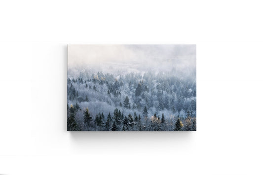 Tablou Canvas Frozen Tree