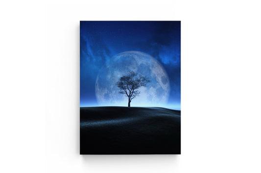 Tablou Canvas Big Moon II