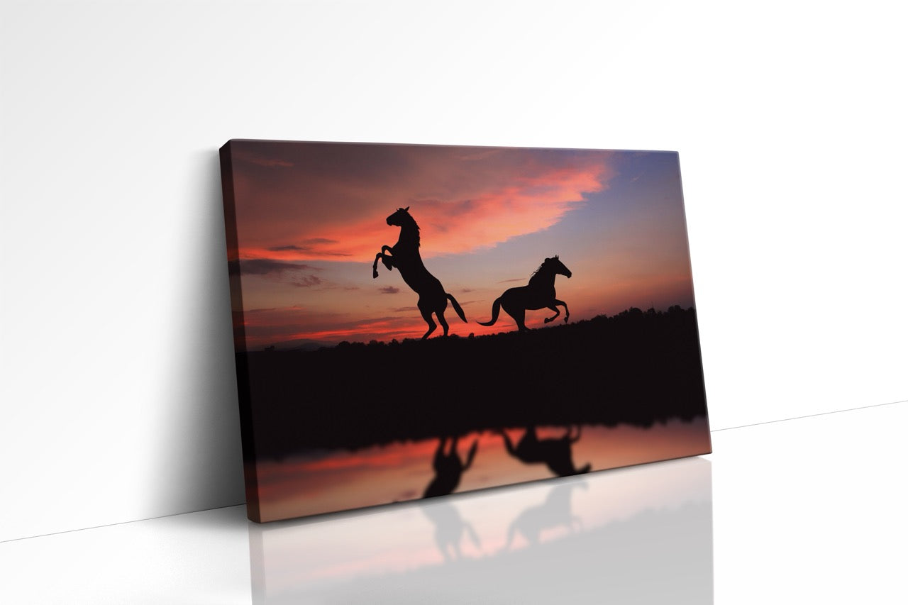 Tablou Canvas Caii Și Reflexia
