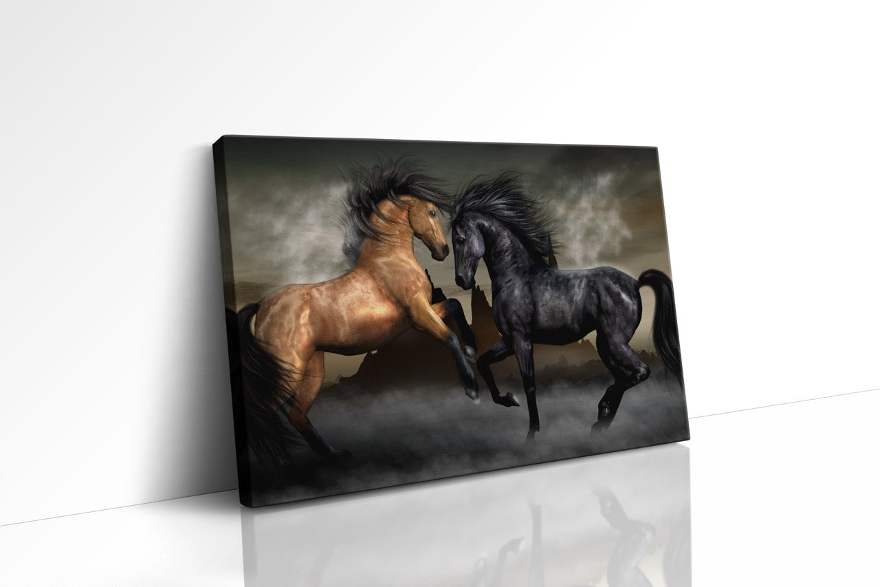 Tablouri Canvas Dansul Cailor