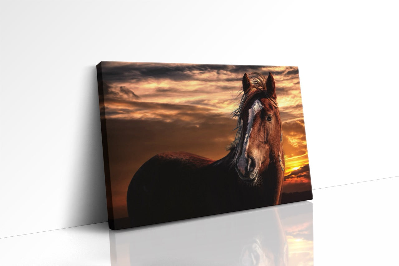 Tablou Canvas Cel Mai Bun Prieten Al Omului