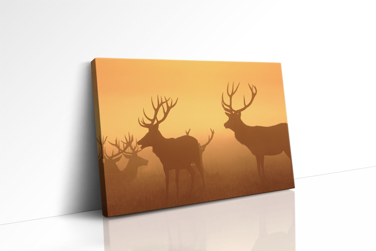 Tablou Canvas Silueta Cerbilor