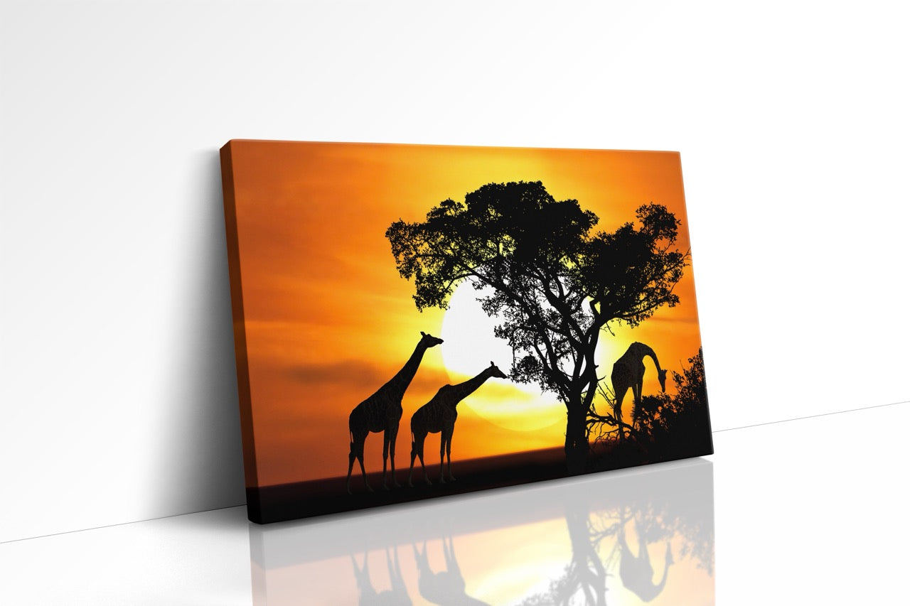 Tablou Canvas Girafe La Apus II