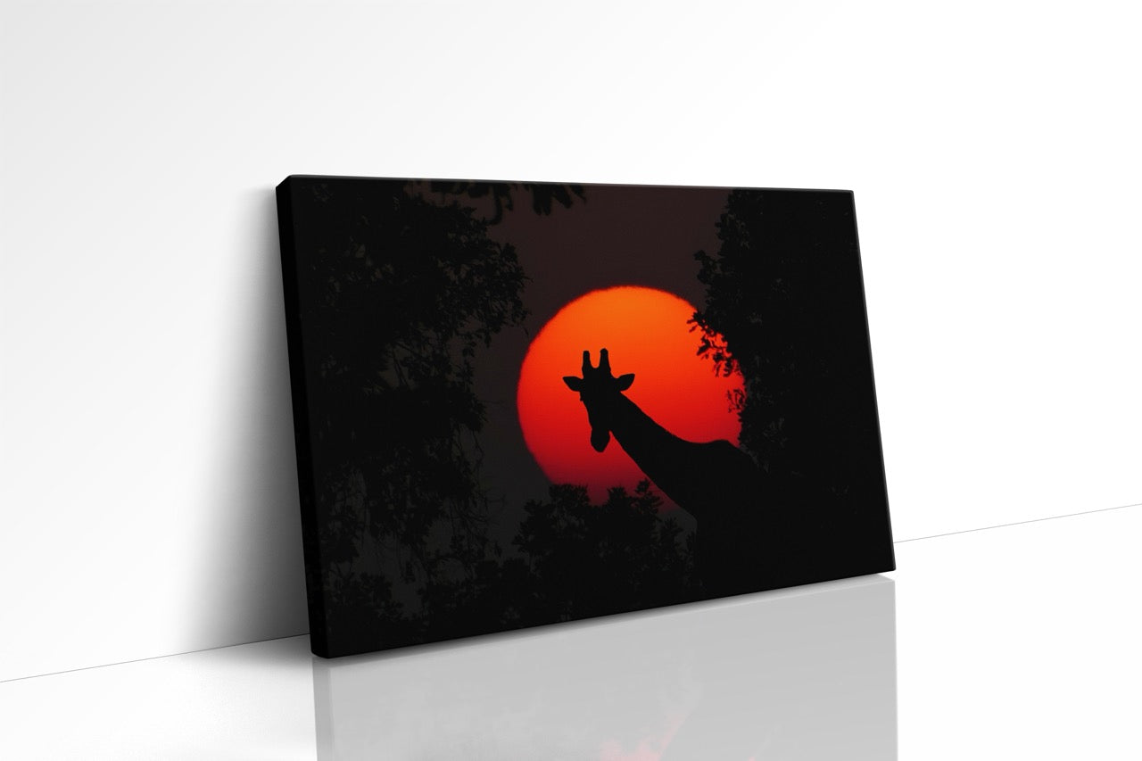 Tablou Canvas Girafa Și Apusul