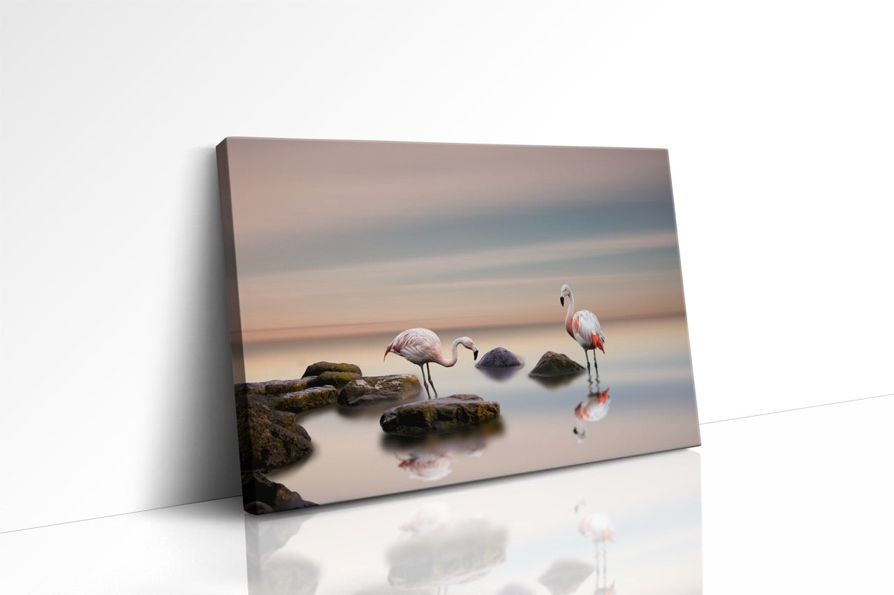 Tablou Canvas Cuplu De Flamingo