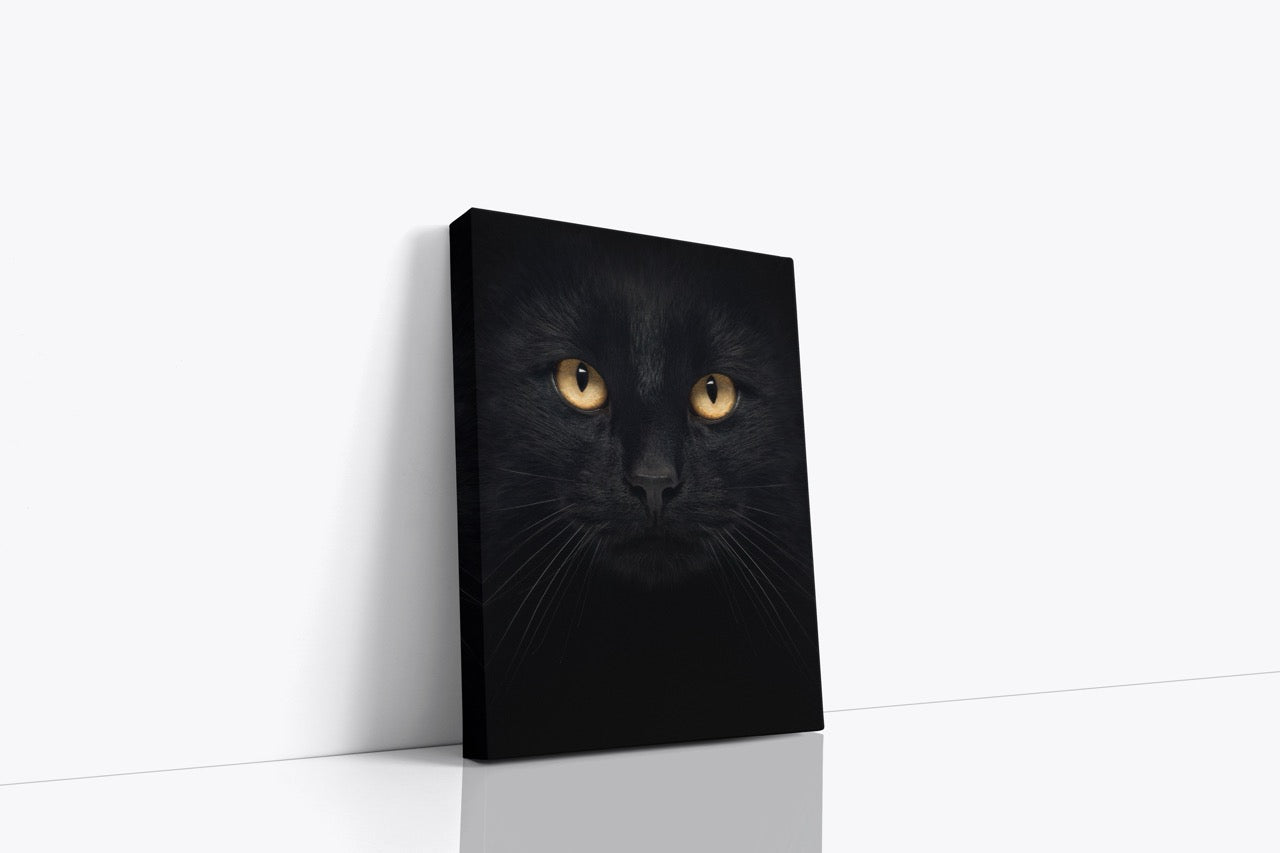 Tablou Canvas Pisica Neagră