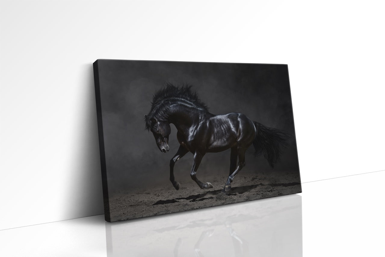 Tablou Canvas Calul Negru