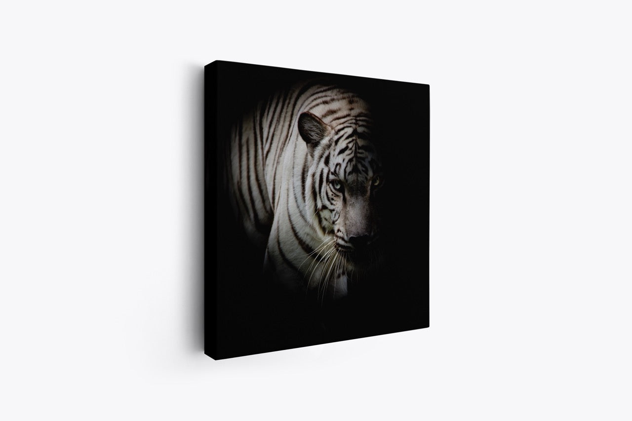 Tablou Canvas Tigru