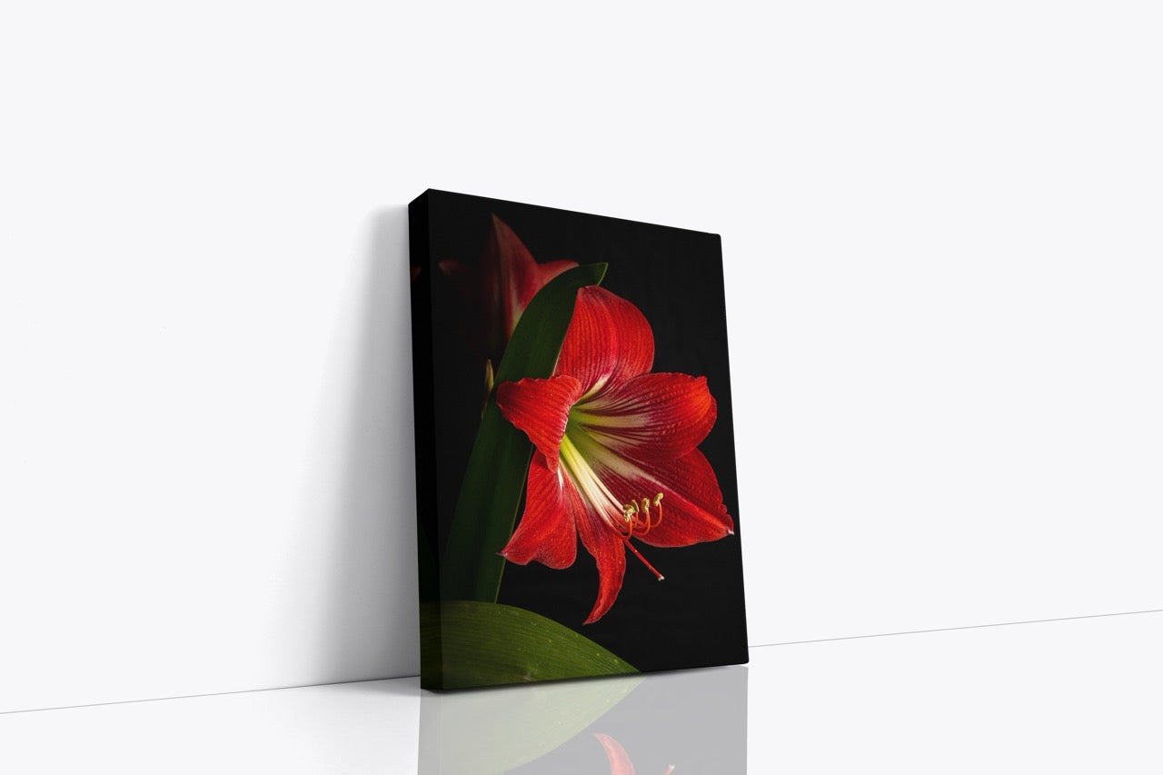 Tablouri Canvas Red Imperial