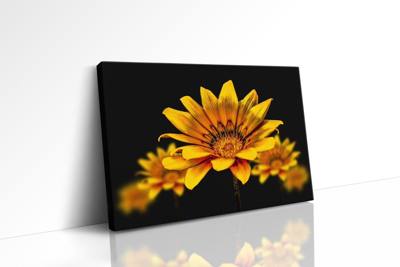 Tablou Canvas Yellow Flower